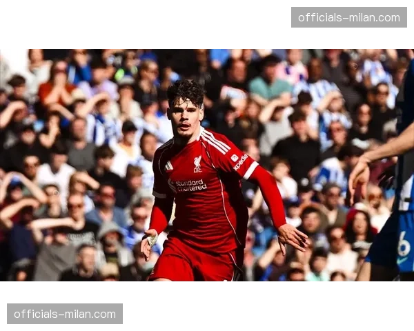 布莱顿力克利物浦升至第十 35岁维尔贝克梅开二度焕发第二春 布莱顿力克利物浦升至第十 35岁维尔贝克梅开二度焕发第二春